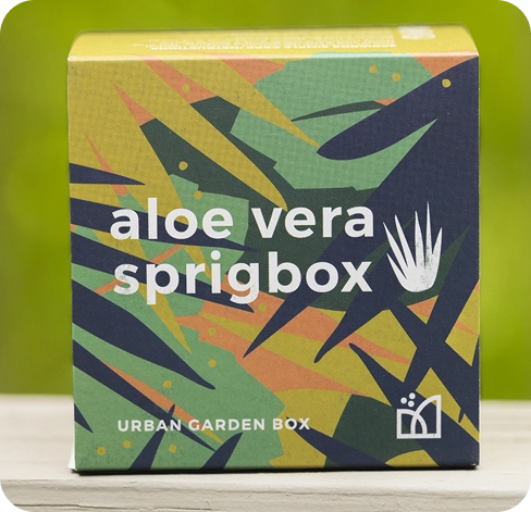 4 printed aloe vera boxes