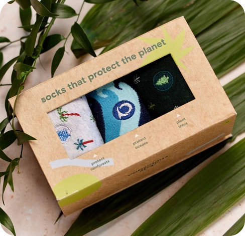 4 socks boxes wholesale