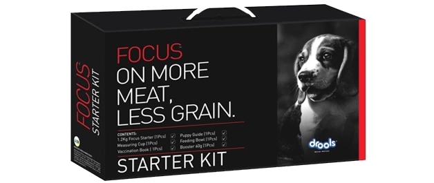 5 dog starter kit boxes