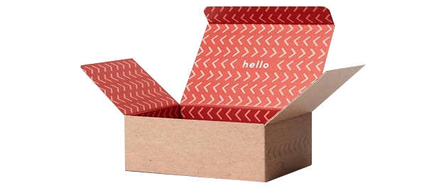 5 eco friendly Rectangular mailer Boxes