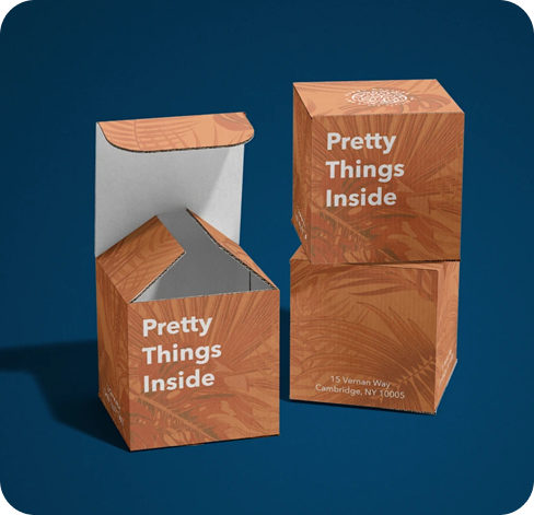 5 roll end tuck top boxes