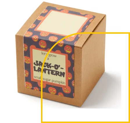 Seeds Boxes