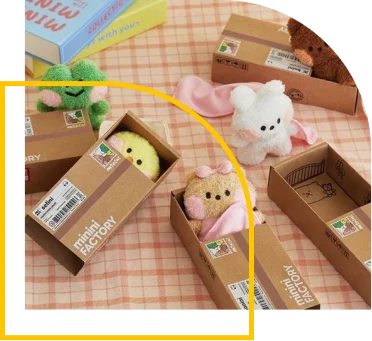 Teddy bear boxes