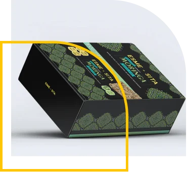 moringa boxes 1